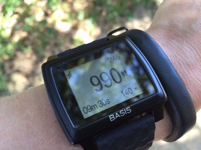 While I walk, I can see steps, activity duration, my heart rate, activity & time, all at once.